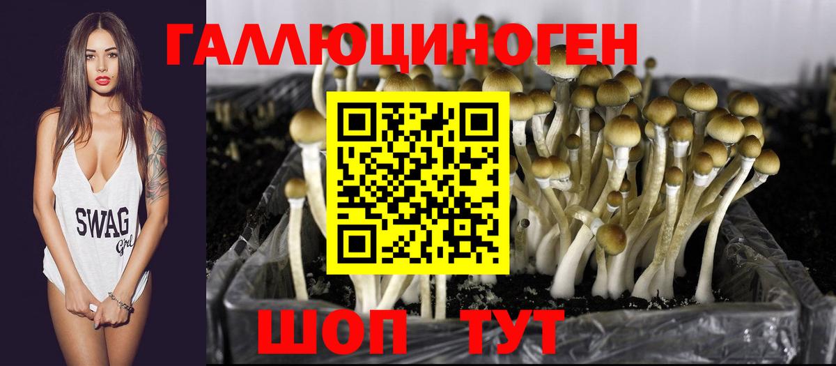 Щёлково  Псилоцибиновые грибы Psilocybe  Галлюциногенные грибы ЛСД  Вход с VPN 